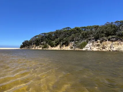 Tanja Lagoon Dawn Chorus Yuin Country (Morning BirdSong)