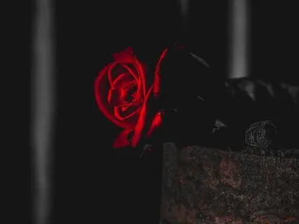 Tantra Ripped My Heart Out And Opened It