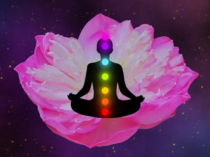 Manifest My Desired Life, Tantric Style W Wildlife Sounds