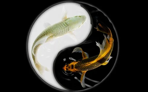 Tao Te Ching - Book 1 Verse 6 - 8