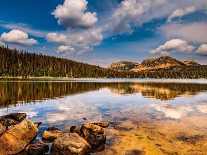 Tao Te Ching - Chapter 45