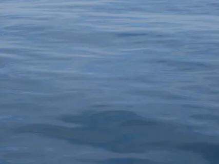 Tao Te Ching - Chapter 52