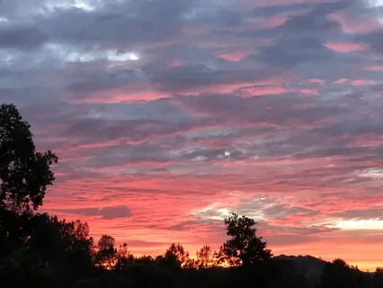 Taoist Clear, Nourish, & Shield Visualization Meditation