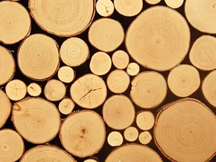 Taoist/Daoist-Inspired Meditation: Softening The Edges