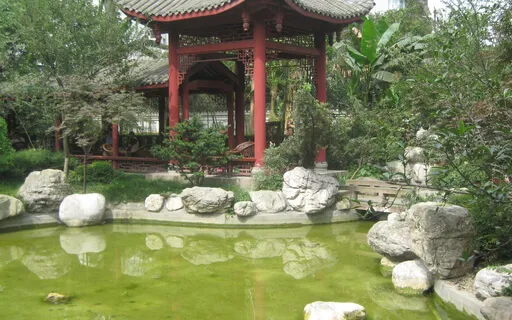 Taoist Releasing Meditation