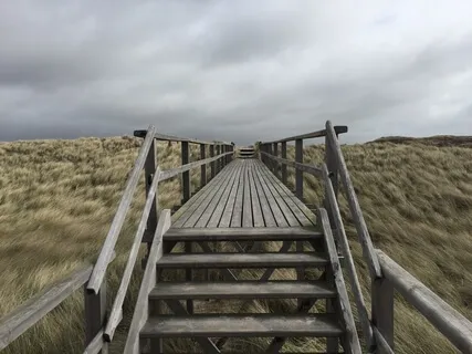 Tap Into Calm & Send Healing Intentions