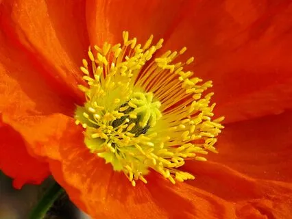 Tap Into Positivity And Optimism With "Good Day"