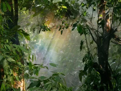 Tap Into Your Inner Wisdom