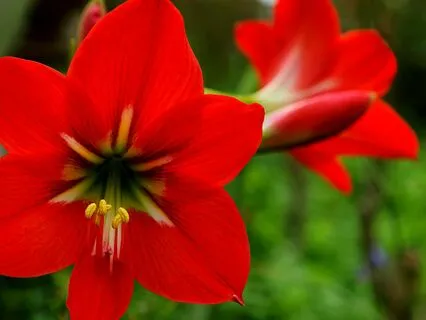 Tapas: Connecting To The Inner Fire Of Self-Guided Effort