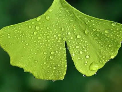 Tapas Talk: Connecting To Self-Driven Effort From Inner Fire