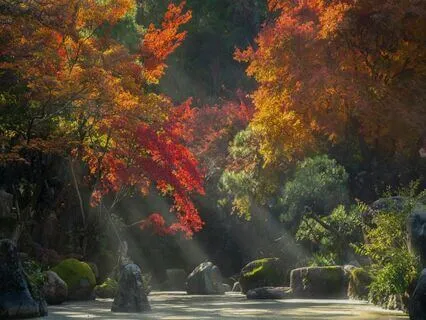 Tapping Into Health | Affirm And Support Healing