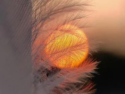 Tapping Into Intuition