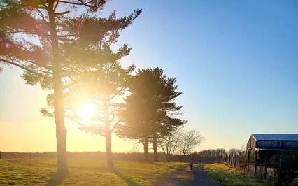 Tapping Into The Body's Innate Wisdom