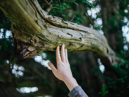 Tapping Into The Brain's Happiness Chemistry