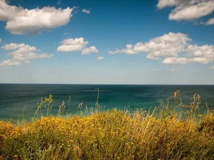 From Emptiness To Wholeness