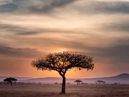 Tapping Into Your Divine Blueprint