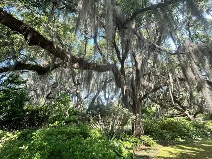 Tapping Into Your Intuition