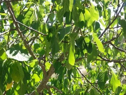 Tapping Into Your Mindful Gauge