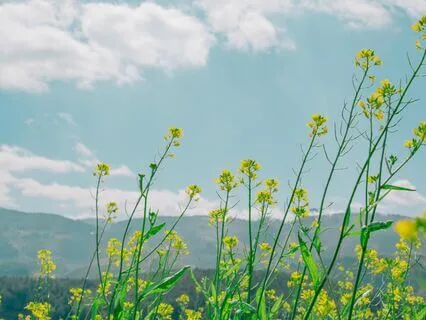 Tapping Meditation For After A Breakup