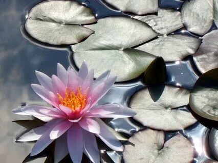 Tapping Meditation For Self-Love And Acceptance