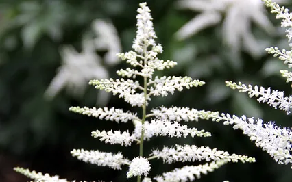 Tapping On Stress - EFT Meditation