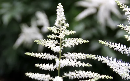 Tapping On Stress (No Music) - EFT Meditation