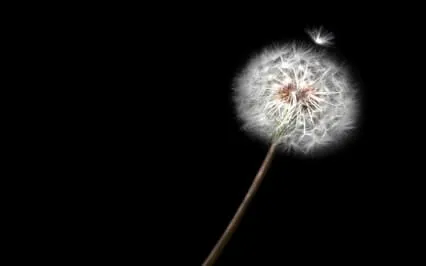 Tapping On Uncertainty - EFT Meditation