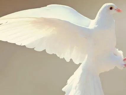 Tapping To Reduce Any Unsafe Feelings