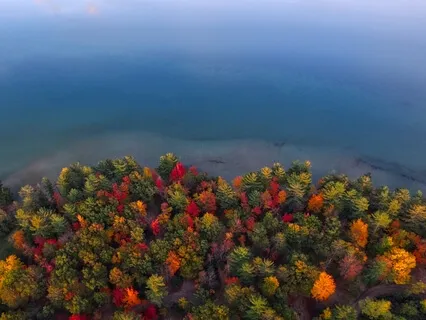 Tapping To Release Binge & Emotional Eating Urges