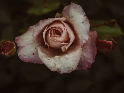 Tapping To Release Holiday Event Stress