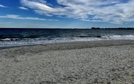 Tapping To Release Viruses, Bacteria, & Toxins