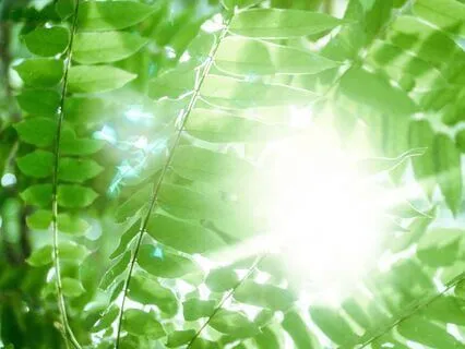 Tarcza Światła – Ochrona Przed Stresem i Negatywną Energią