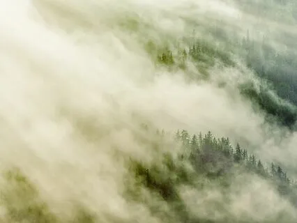 Tarot & Oracle Reading: Rebuilding The Path To Manifestation