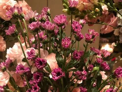 Tarot Reading For All