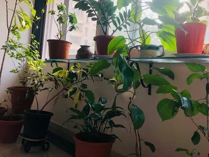 Tarot Reading From The Divine Source