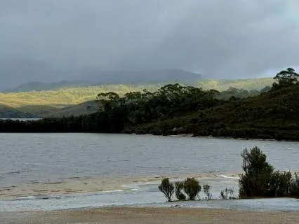 Tasmanian Lakeside After Rain – Calm Nature Sounds (8 Hours)