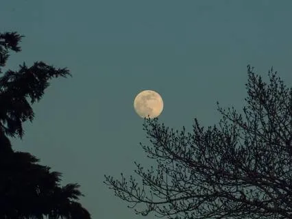 Taurus Full Hunter's Moon Practice · October 2026