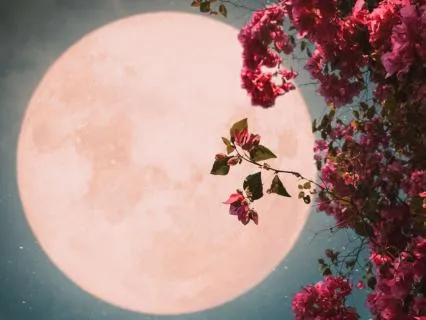 Taurus Full Moon Meditation: Ground, Release And Receive