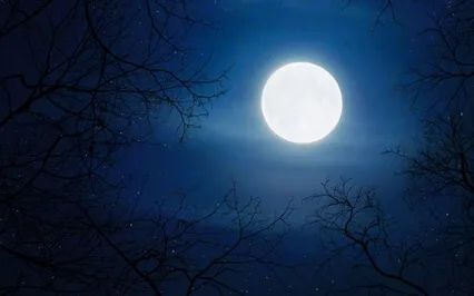 Taurus Full Moon Meditation - November 2022