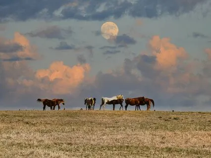 Taurus Moon Journaling 2024 Astrology Alchemy