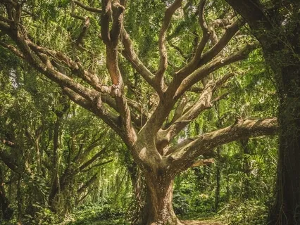 Taurus New Moon, Eclipse Portal Opens, Mary Magdalene