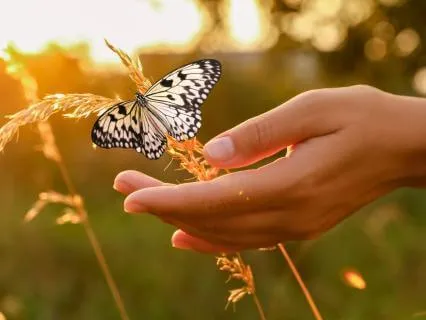 Taurus New Moon Meditation: Abundance & Financial Stability