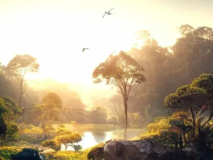 Sound Healing: Tawau Hills Park, (360° Mind+Body Audio)