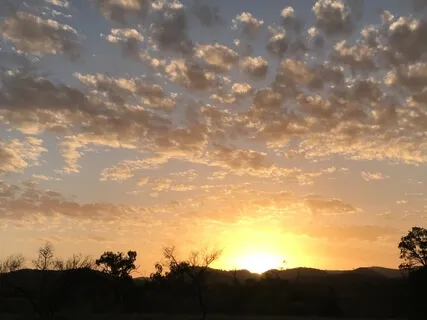 TDC - Meditation 3 With Binaural Beats