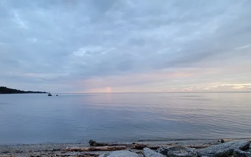 Tea Cup For October 2022... Take Space.