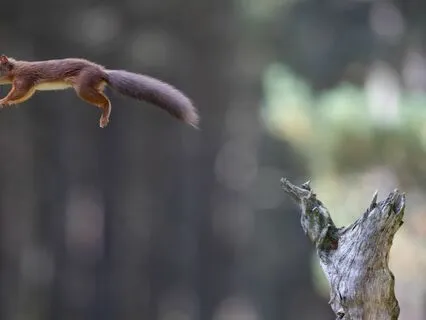 Tea Cup For The Month Of January 2024