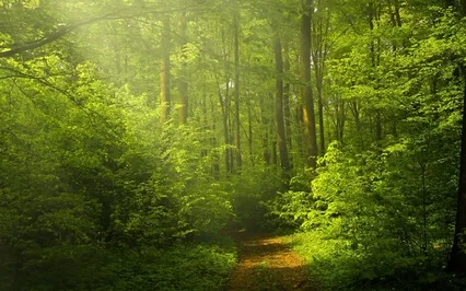 Teacher, Guide & Healer: How To Be A Presence For Others