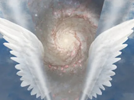 Team Support Clean Up