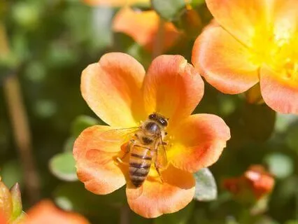 Teamwork Affirmations