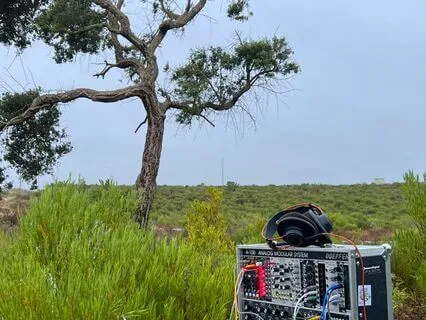 Tears Beyond The Horizon – Delta Waves – Plant generated